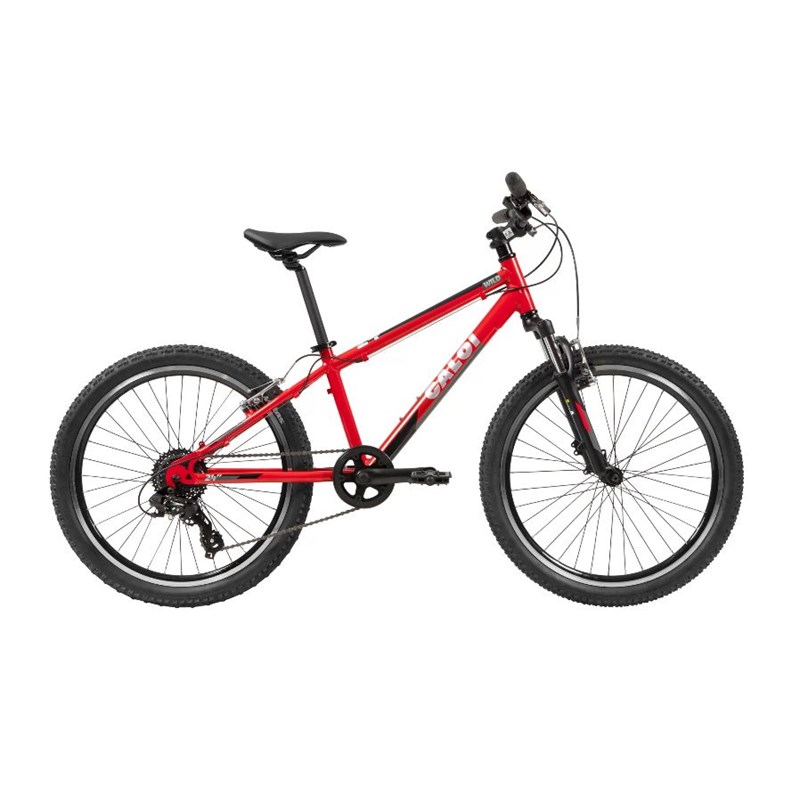 Bicicleta Infantil Wild Aro 24 21v Vermelha Ano 2021 Caloi